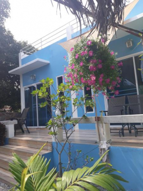 Belinda Home